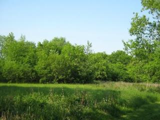 40699 Forest View Rd, Beach Park, IL 60083-9493