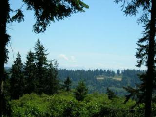 3621 Gamble St, Maxwelton, WA 98236-9226