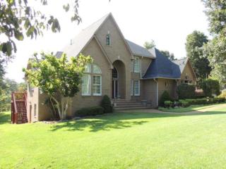 50 Brook Hollow Pl, Counce, TN 38326-4206