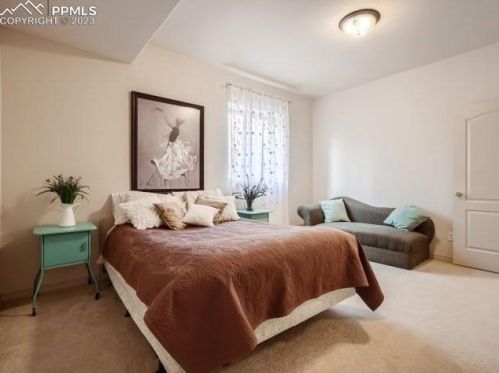 784 Saber Crk Dr, Woodmoor CO 80132-6060 exterior