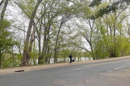 2445 Aglen St, Saint Paul MN  55113-3309 exterior