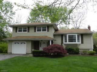 11 Old Chester Rd, Parsippany, NJ 07054-1612