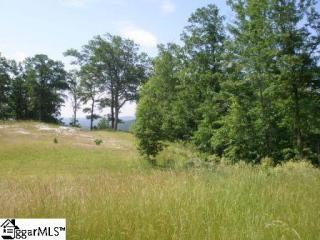 900 Raven Rd, Landrum, SC 29356-3427