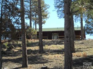 33640 Mountain Vw, Beshoar Junction, CO 81082-3994