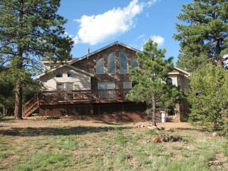 133 Pawnee Trl, Horn Creek, CO 81252-8631