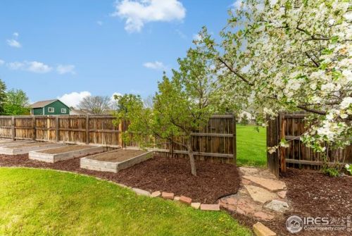 4005 Windom St, Fort Collins CO  80526-5305 exterior