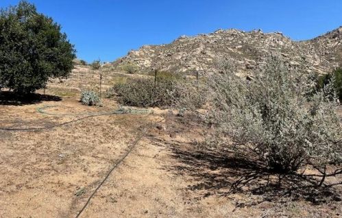 2270 Mt Vernon Ave, Riverside CA  92507-4624 exterior