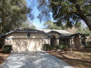 19915 93rd Lane Rd, Dunnellon FL  34432-4126 exterior