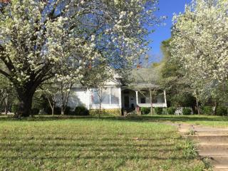 411 Union St, Vienna, GA 31092-1649