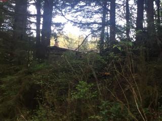 3186 Bear Creek Rd, Rose Lodge, OR 97368-9708