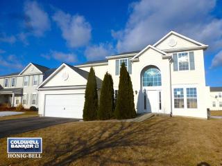 132 Ginkgo St, Lemont IL  60490-6579 exterior