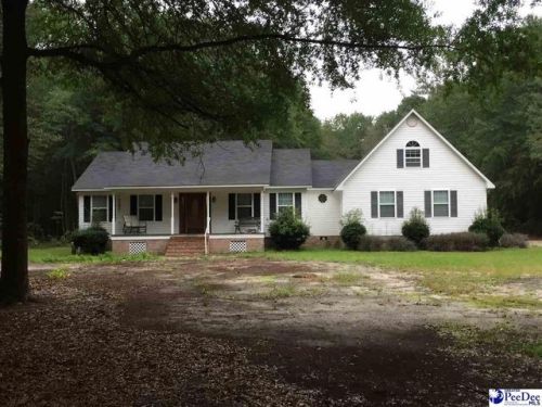 1044 Harmony Hall Dr, Darlington, SC 29540-8643