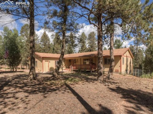 833 Spring Valley Dr, Divide, CO 80814-9627