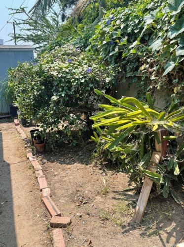 3050 Ball Rd, Anaheim CA  92804-3876 exterior