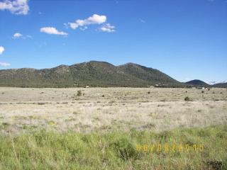 1048 Blazing Saddle Trl, Cotopaxi, CO 81223-9746