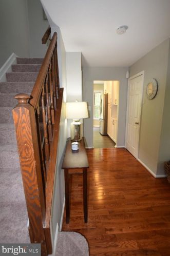 6100 Heron Pond Ct, Springfield VA  22015-3738 exterior