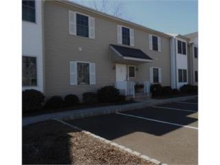 502 Clark Rd, Lebanon, NJ 08833-2169