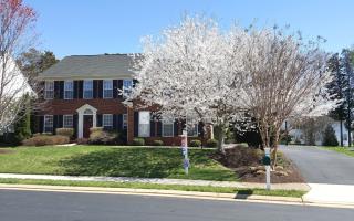 13713 Piedmont Vista Dr, Haymarket, VA 20169-3216