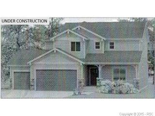 17875 Mining Way, Woodmoor, CO 80132-8175