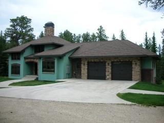 11177 Alpine Cir, Terry Peak, SD 57754-8901