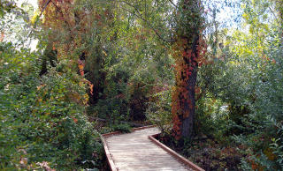 1337 1400, Provo UT  84606-6411 exterior