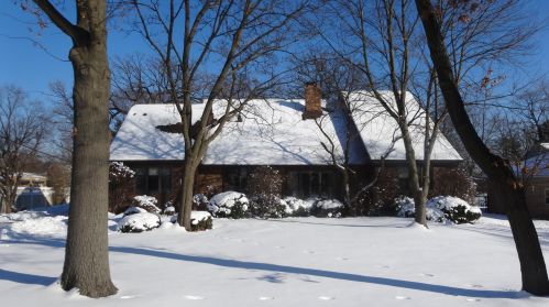 231 Cardinal Ave, Addison, IL 60101-2910