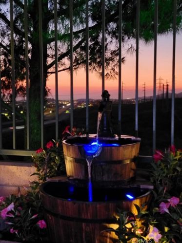 55 Stargazer Way, San Juan Capistrano, CA 92692-5988