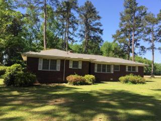 3023 Polk Rd, Moselle, SC 29929-3915