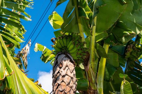 2201 Spinnaker St, Santa Ana CA  92706-1320 exterior