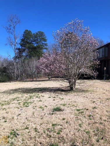 677 Bray Way, Manchester, GA 31816-1900