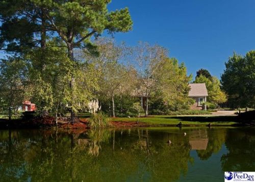 1502 Tommy Dr, Florence, SC 29506-5302