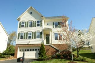 105 Rosebrook Ct, Leesburg, VA 20176-2061