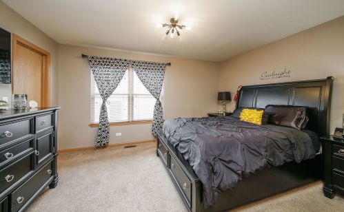 494 Savannah Ln, Lemont IL  60440-5086 exterior