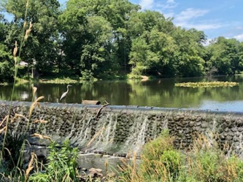 913 Lakeside Dr, Rahway, NJ 07065-1729