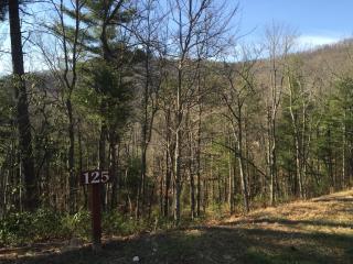 10 Sugarland Ridge Rd, Fairview, NC 28730-5505