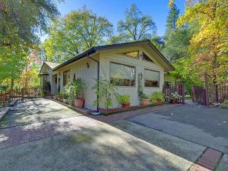 2792 Sleepy Hollow Ct, Swansboro Country, CA 95667-4222