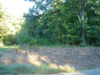 605 Lester Rd, Somerville, TN 38068-3638