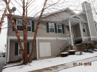 2290 Graystone Dr, Joliet, IL 60431-8785