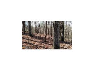 676 Seye Wailo Trl, Clarkesville, GA 30523-2660