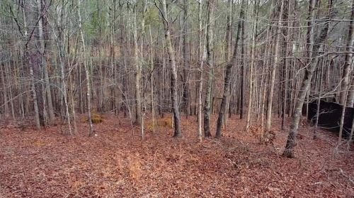 312 Red Fox Dr, Holly Springs, GA 30114-6560