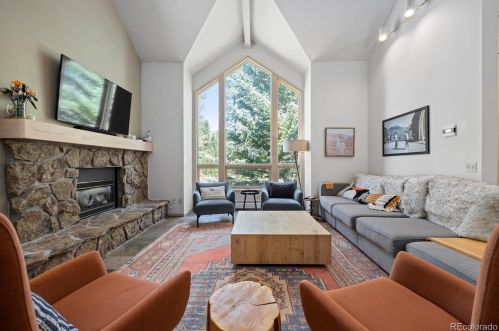 21 Saw Whiskers Cir, Montezuma CO  80435-7903 exterior