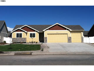 3924 Mount Oxford St, Wellington, CO 80549-2236