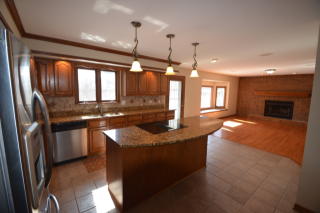 1449 Columbus Dr, Lemont IL  60490-1409 exterior