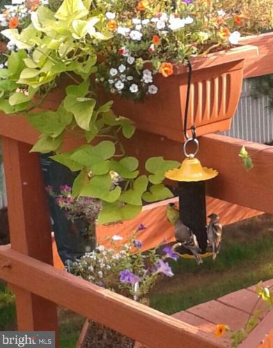 208 Bent Pine Ct, Lancaster PA  17603-2180 exterior