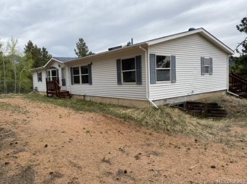 12841 Thelma Ave, Pine, CO 80470-9643