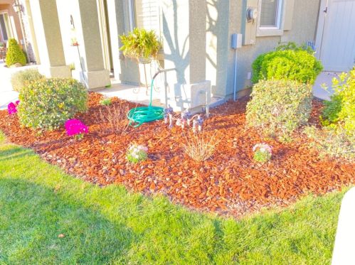 2501 Sea Lion Way, Turlock, CA 95380-8440
