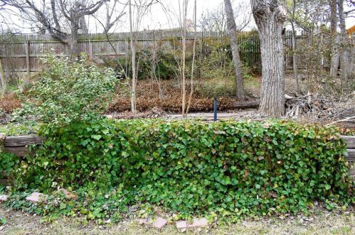 3609 Wendell Dr, Fort Worth TX 76117-2868 exterior