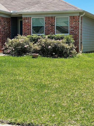 9984 Hyacinth Way, Conroe TX  77385-1904 exterior