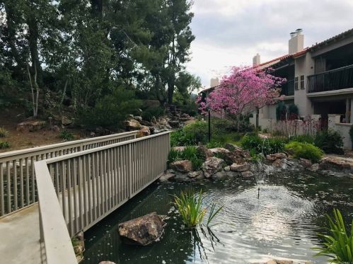 12015 Caminito Campana, San Diego, CA 92128-2013