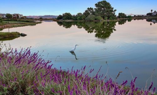 132 Nantucket Cv, San Rafael, CA 94901-4463